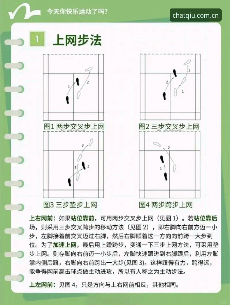 谈球吧官网入口教程：从下载到注册的完整操作指南